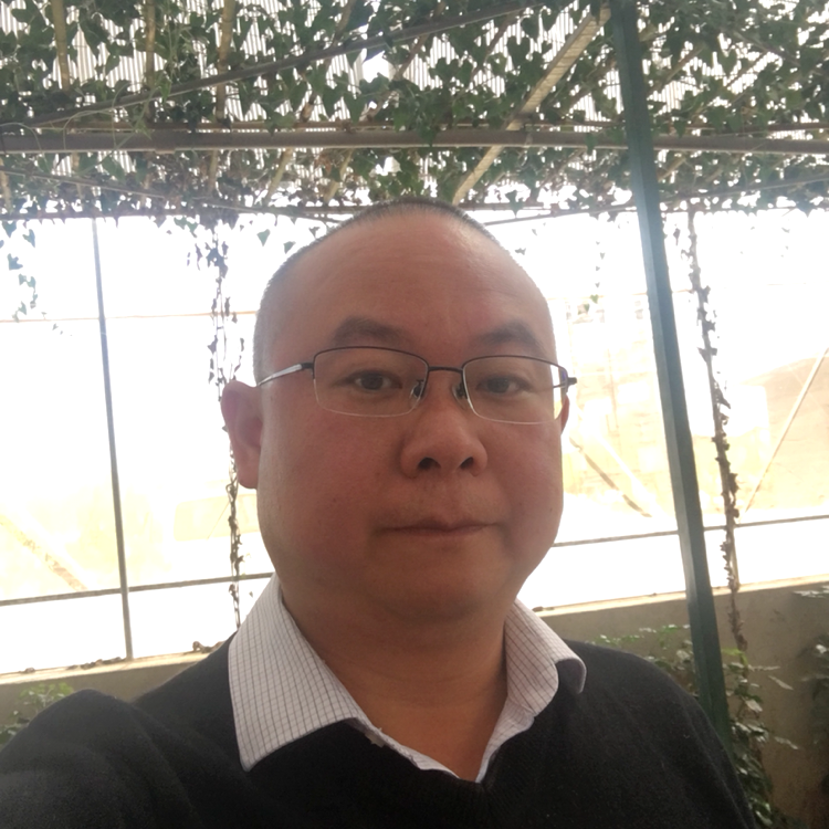 增长的熵的照片