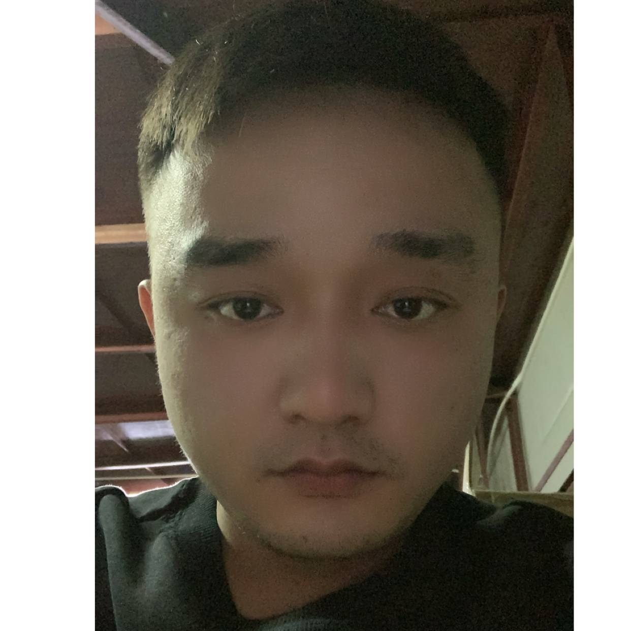 时光回首笨笨的照片