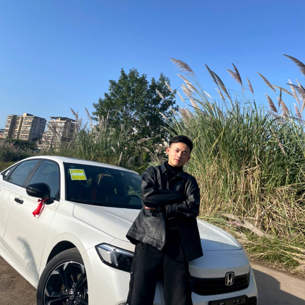 迷离保卫蜻蜓的照片