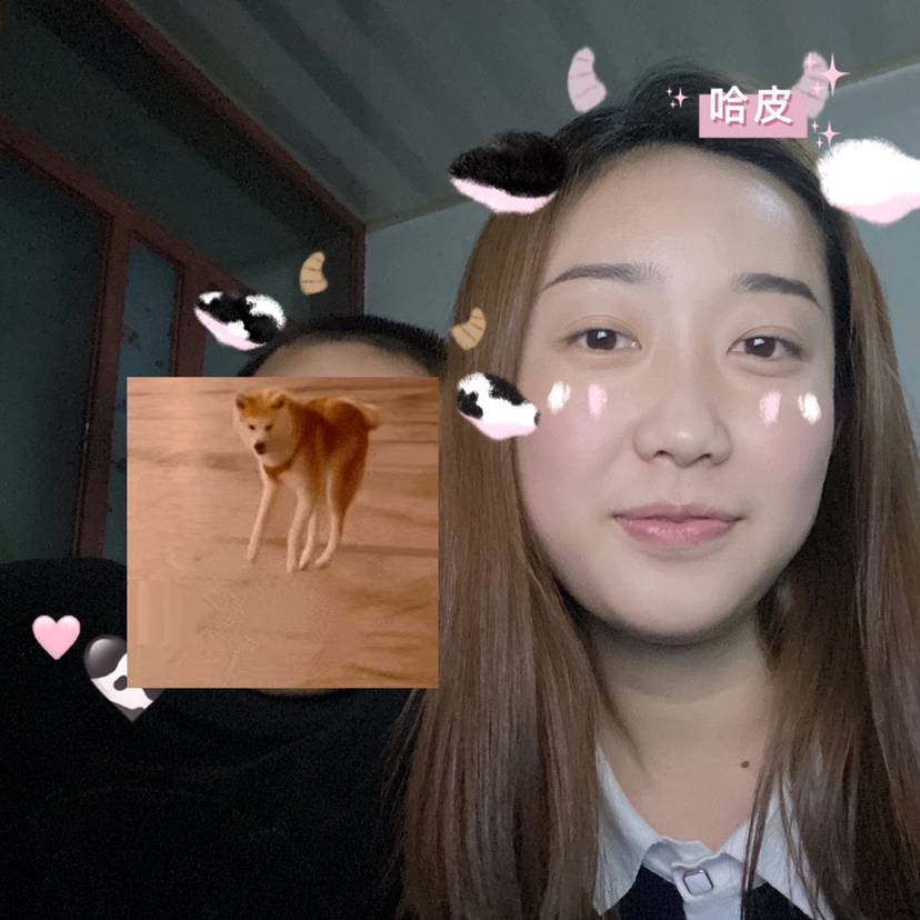 猎豹背后的照片