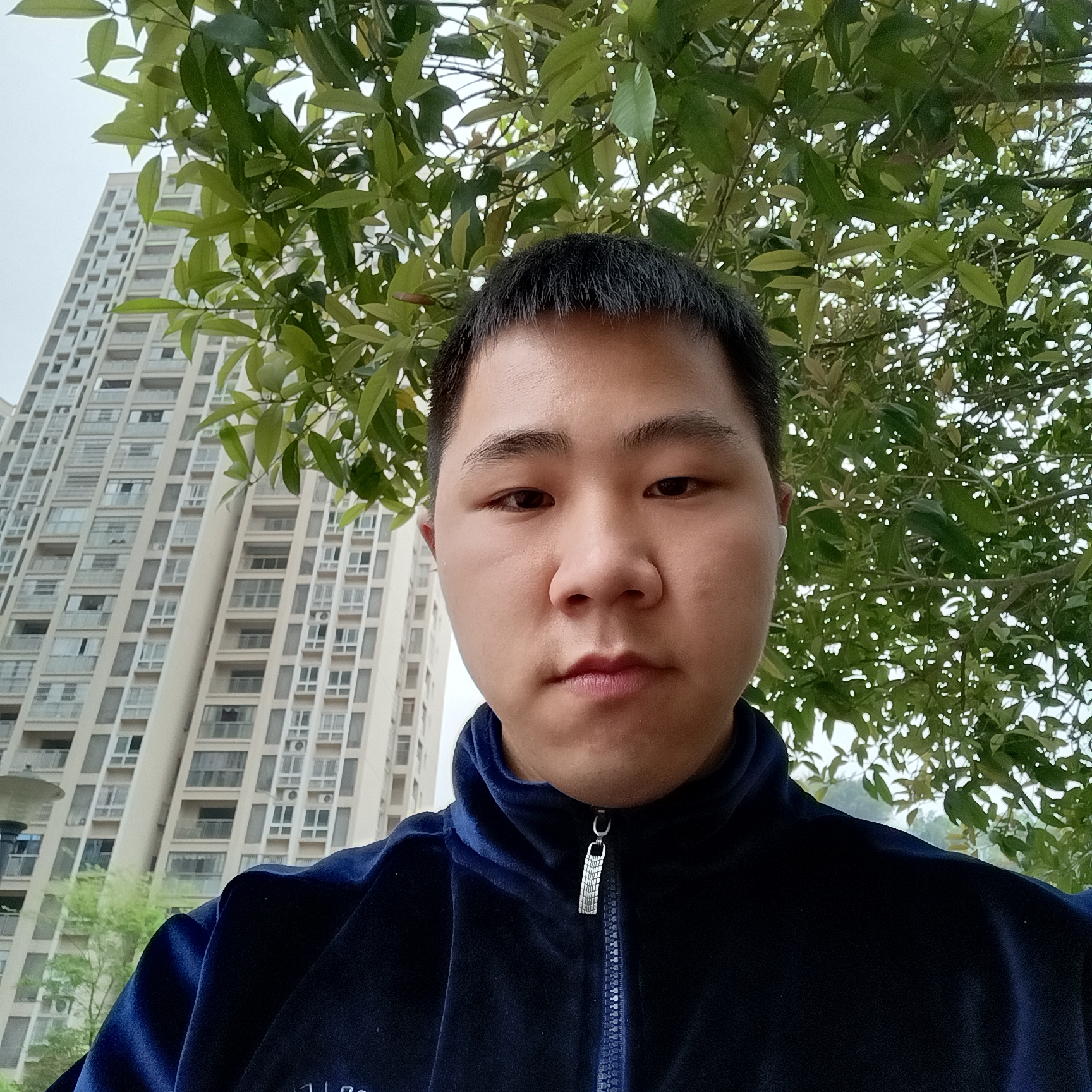 心锁云烟的照片