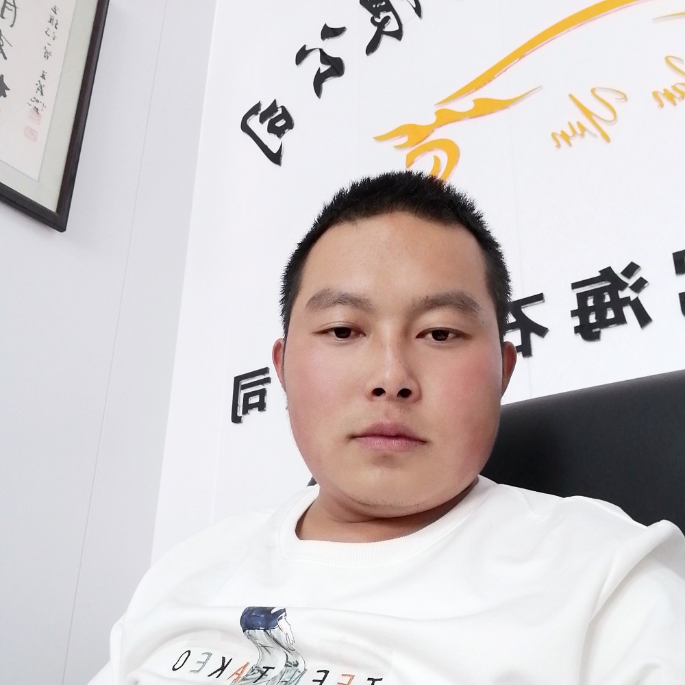 现实邂逅小海豚的照片