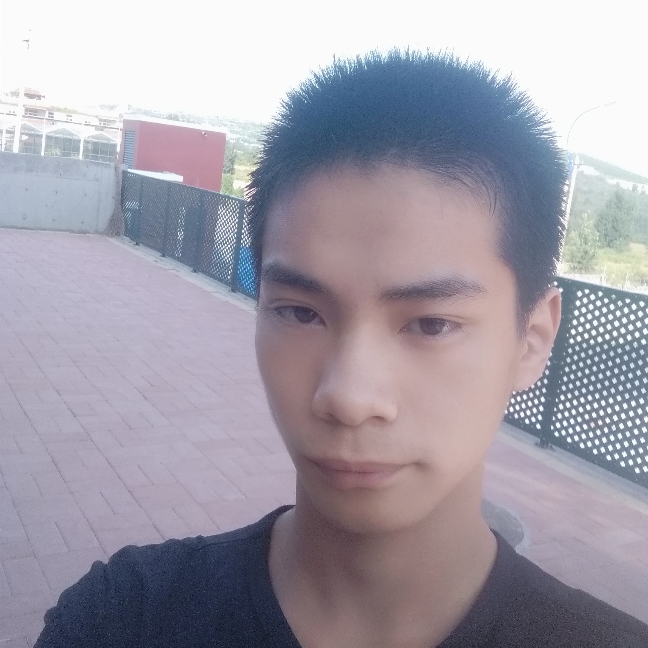 逆水之叶的照片