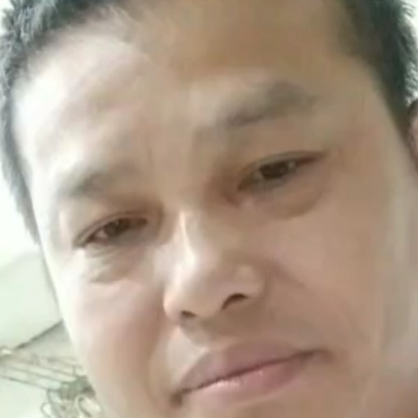 雨中歌的照片
