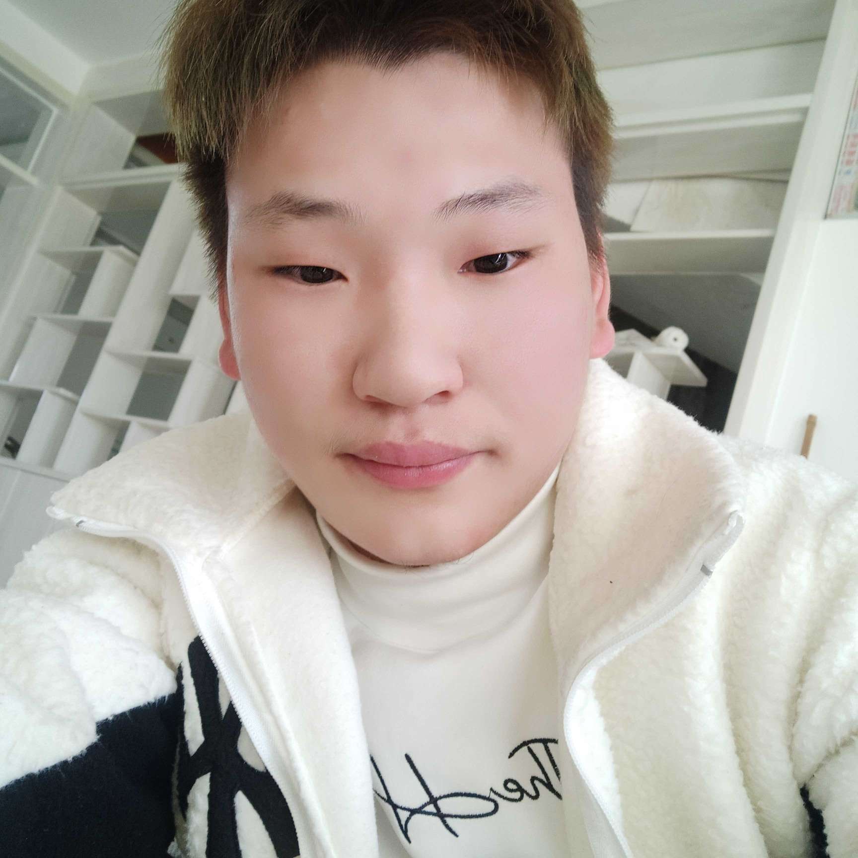 铅笔蹁跹踏实的照片