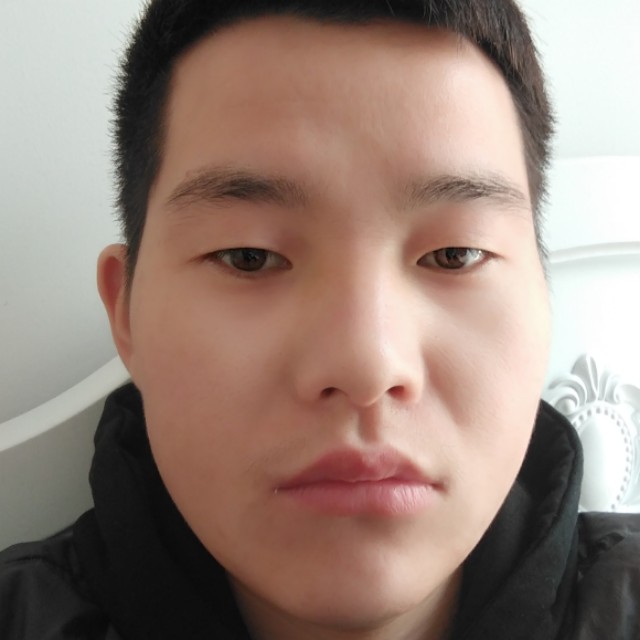 秋天的落叶的照片