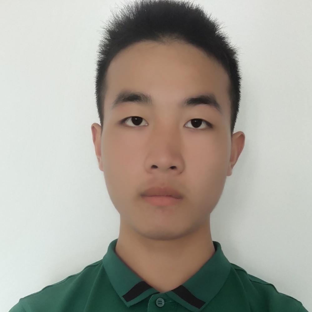 绵枭的照片