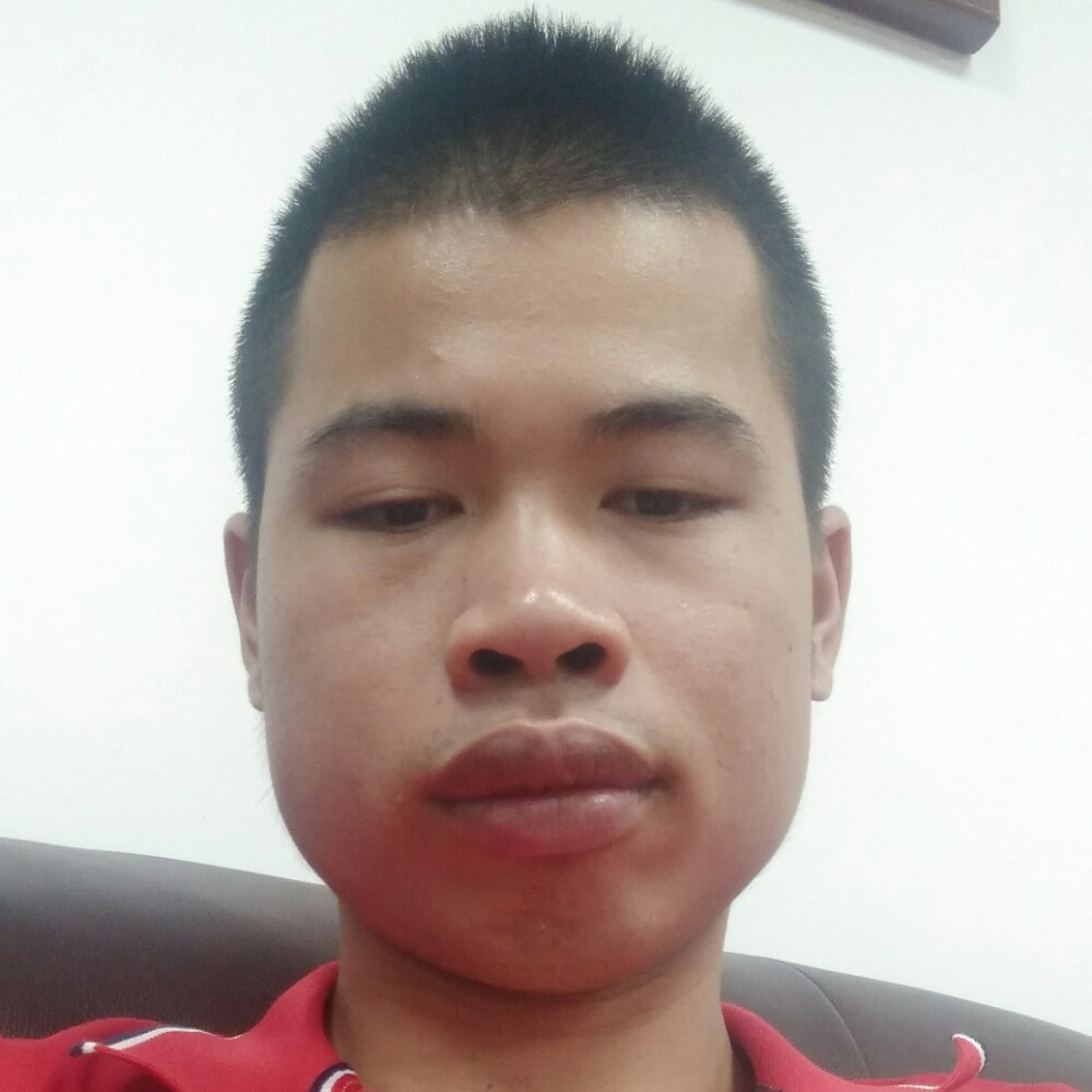 刺猬拿单纯的照片