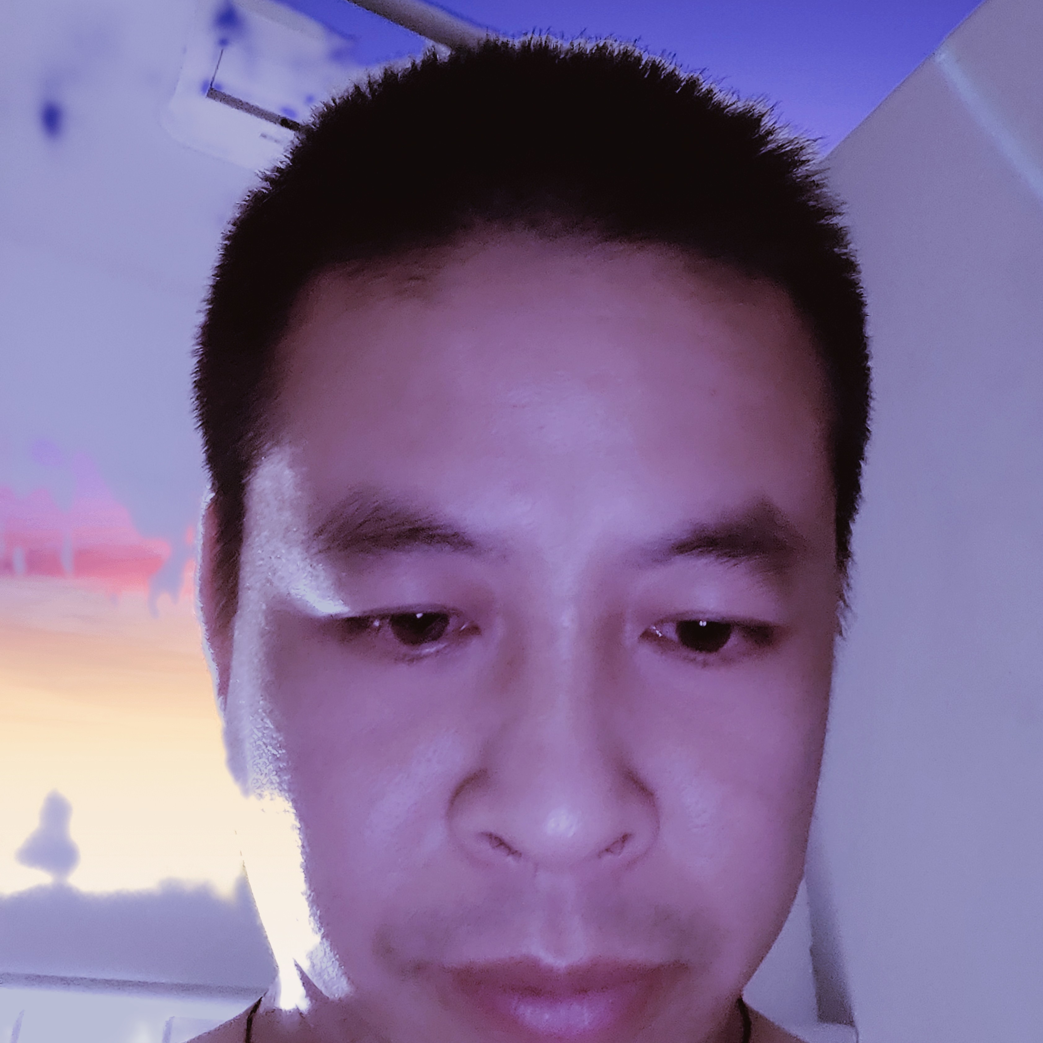 芹菜carl的照片