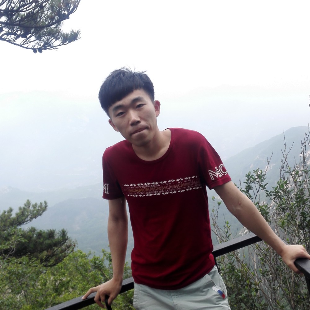 淡淡季节的照片