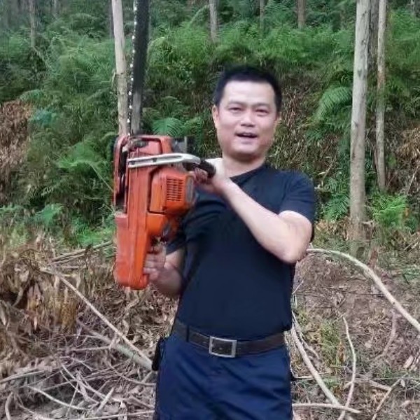 会员936242711的照片