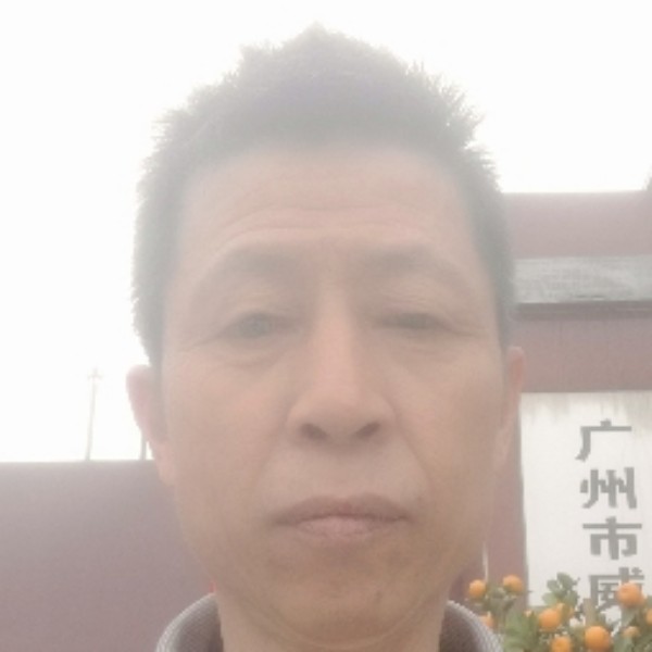 浮萍，的照片
