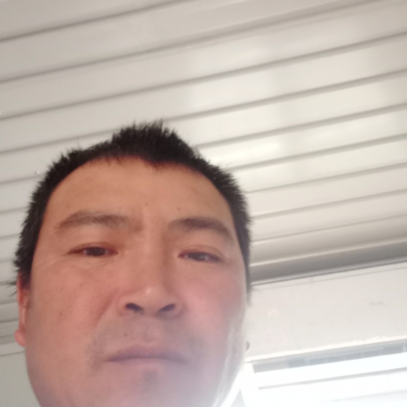 大树超帅的照片