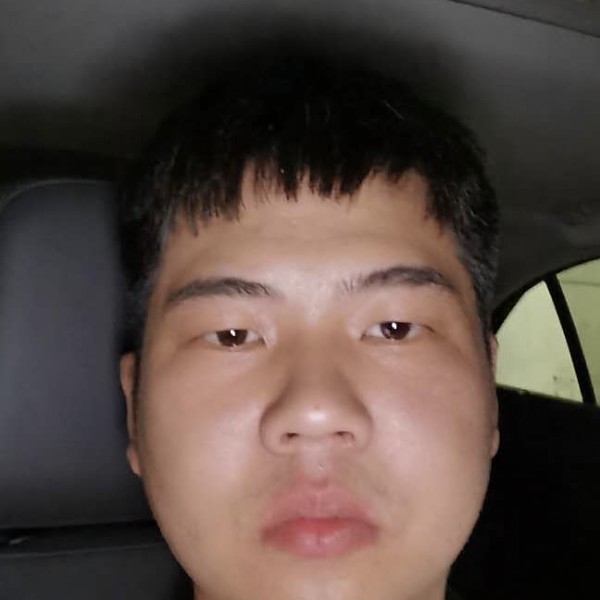 自由和钢笔的照片