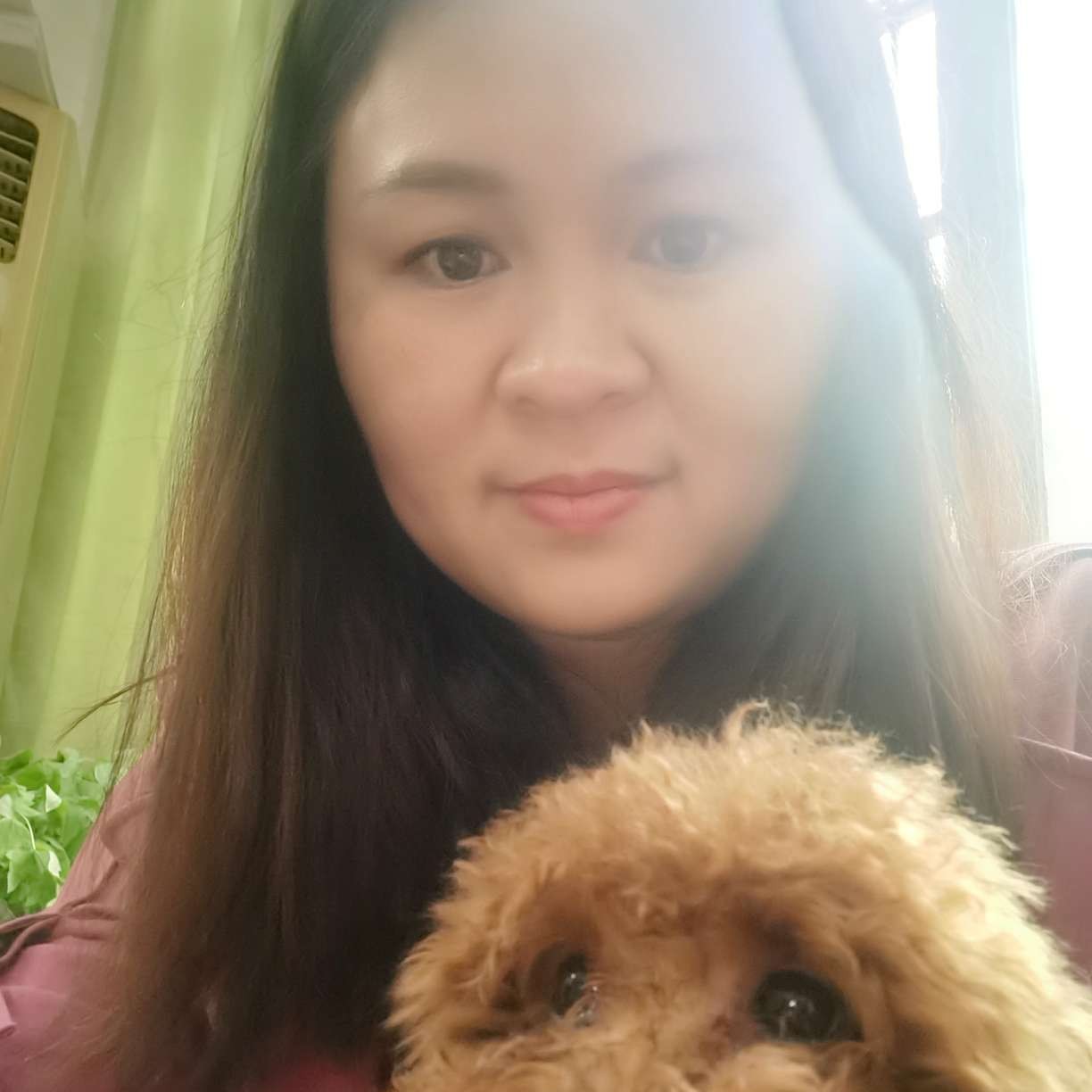 微光耀月的照片