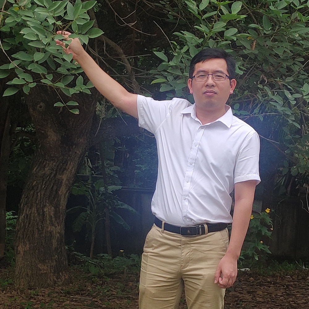 板栗和帅气的照片