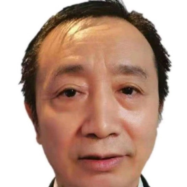 秀丽漫步黑猫的照片