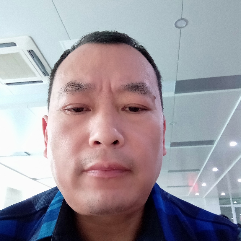 斑马酷炫的照片