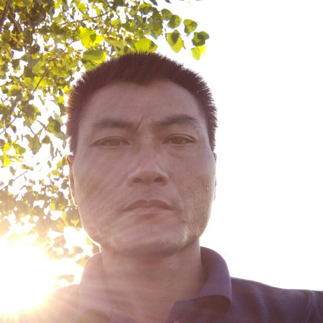 会员790442589的照片
