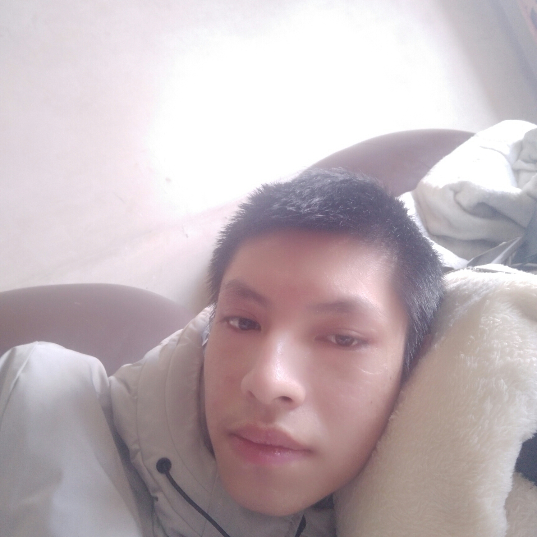 靓丽和如梦的照片
