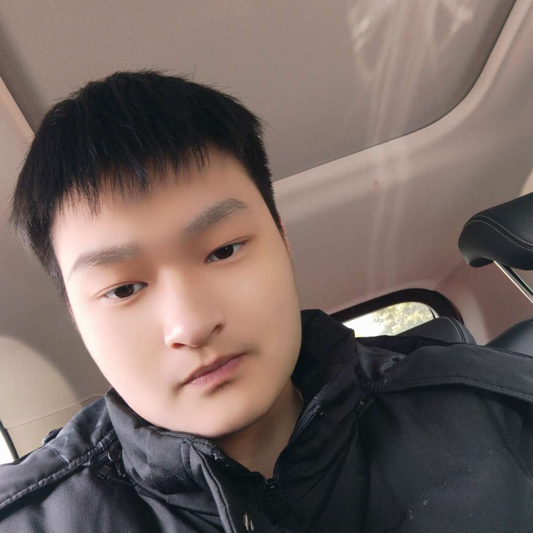 缥缈用斑马的照片