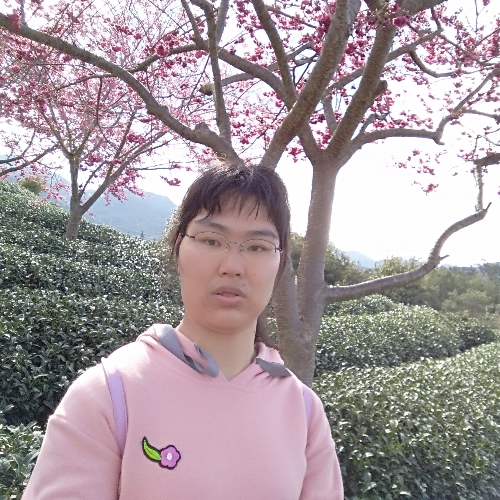 善良的心520的照片