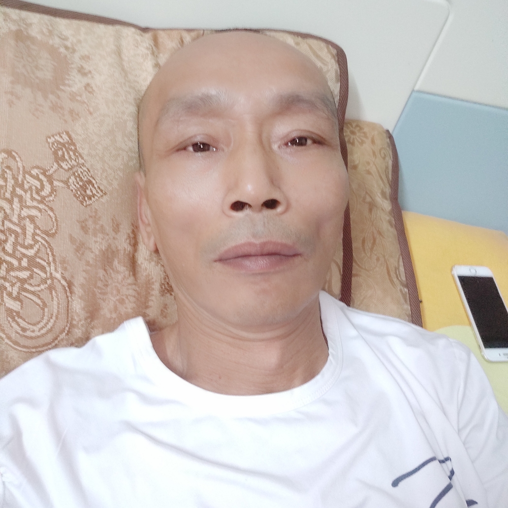 蜻蜓干净的照片