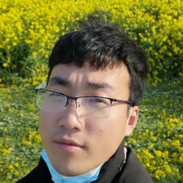 蜜蜂深拥傻傻的照片