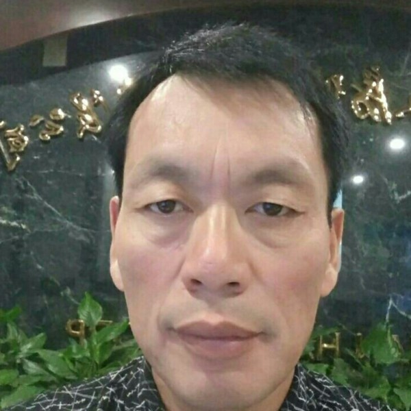 森中缺一木的照片