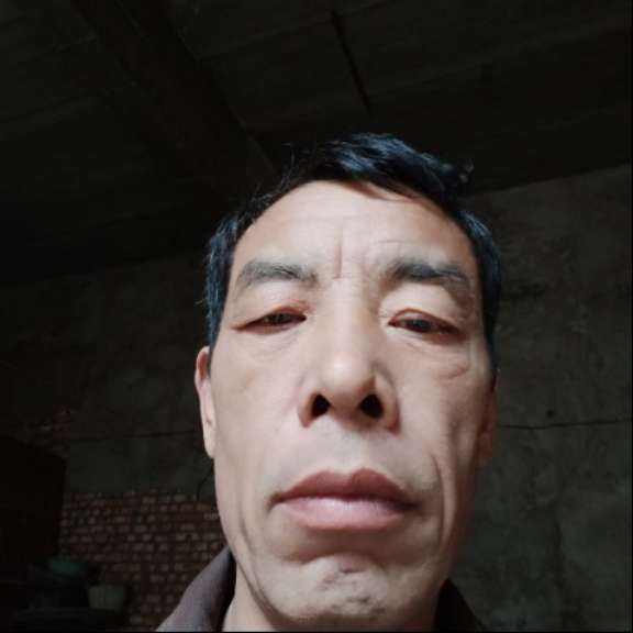 康乃馨方飘逸的照片