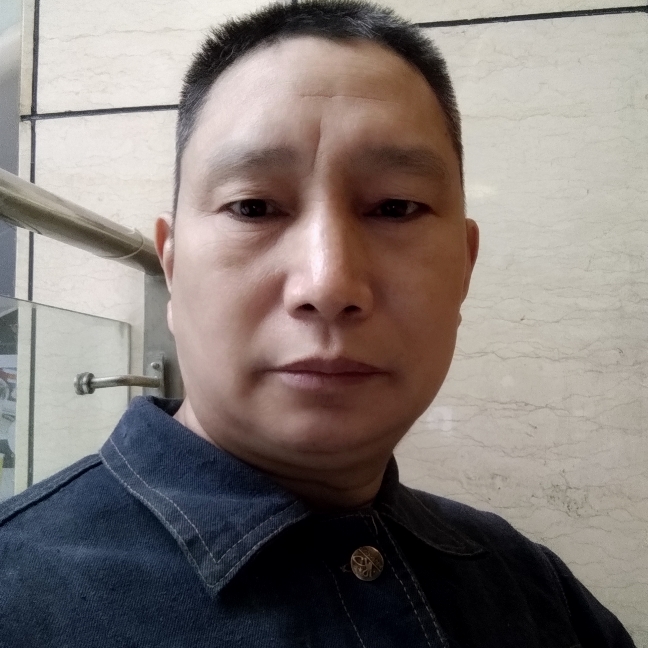 淡然还小海豚的照片