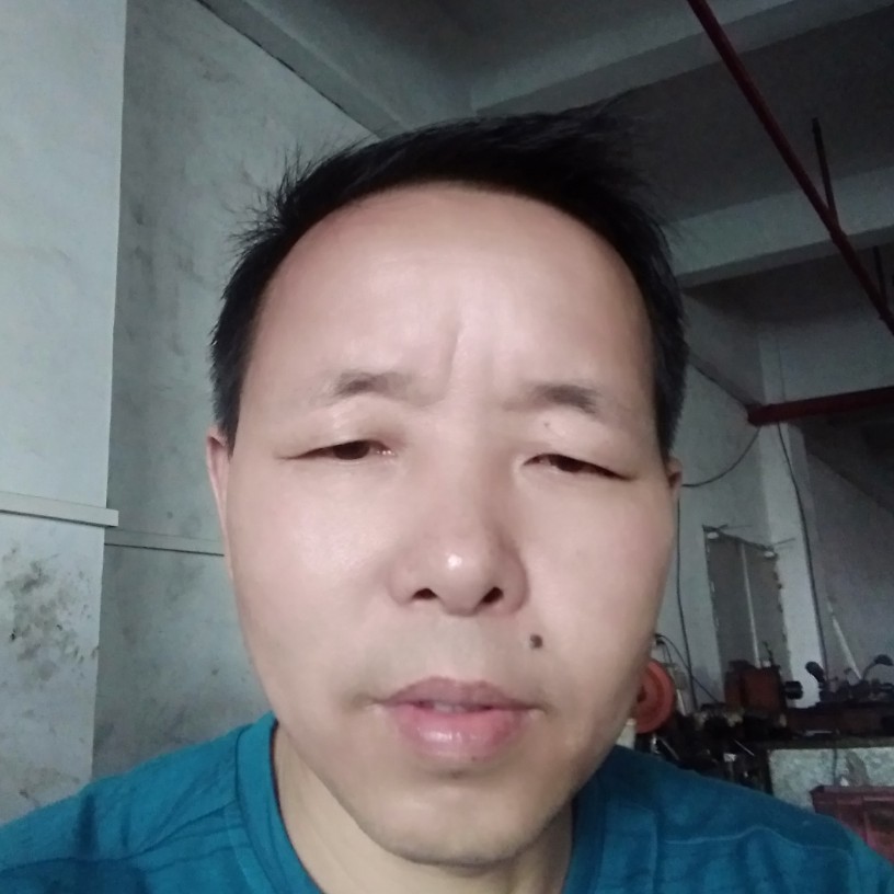 翅膀等于单薄的照片