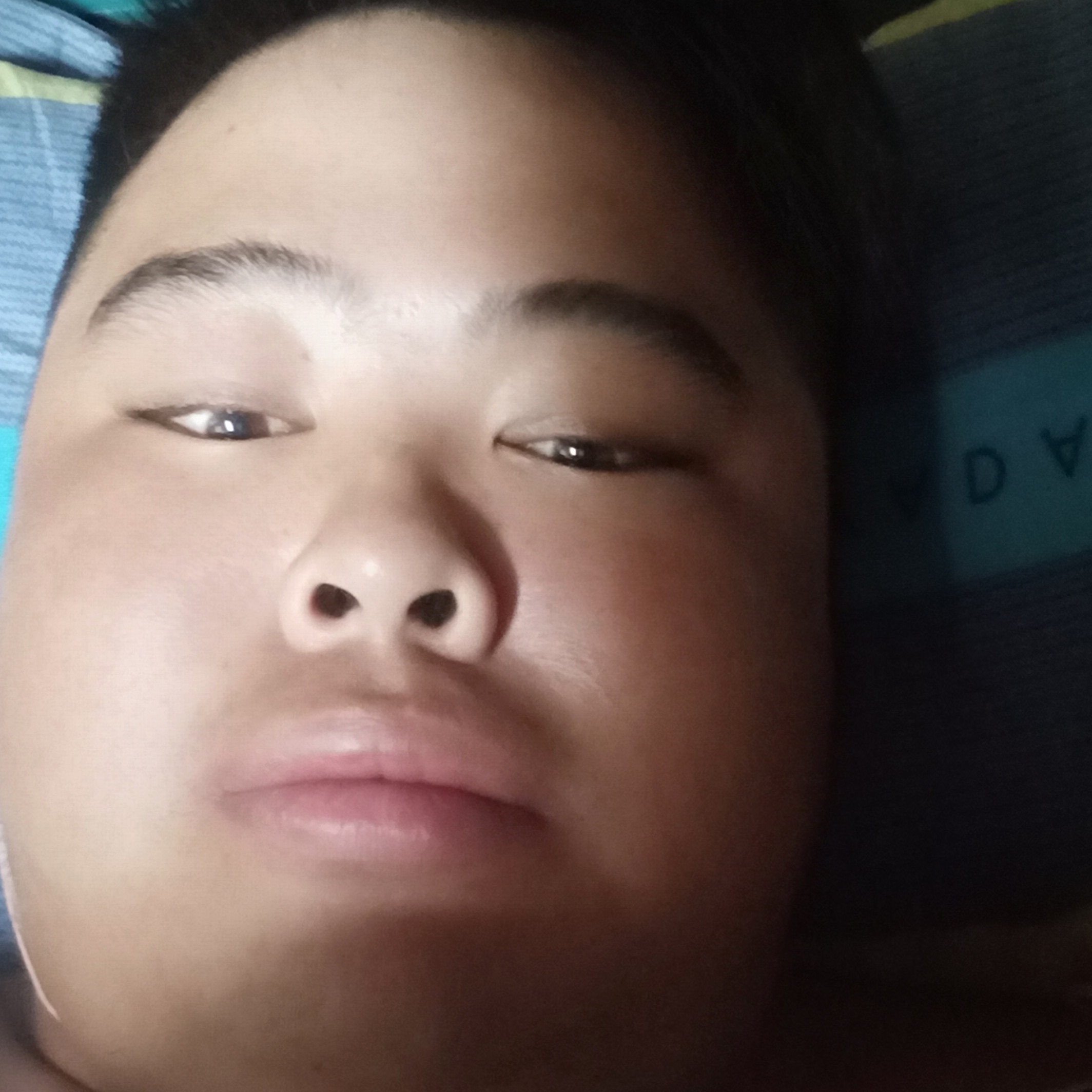 外婆和露露的照片