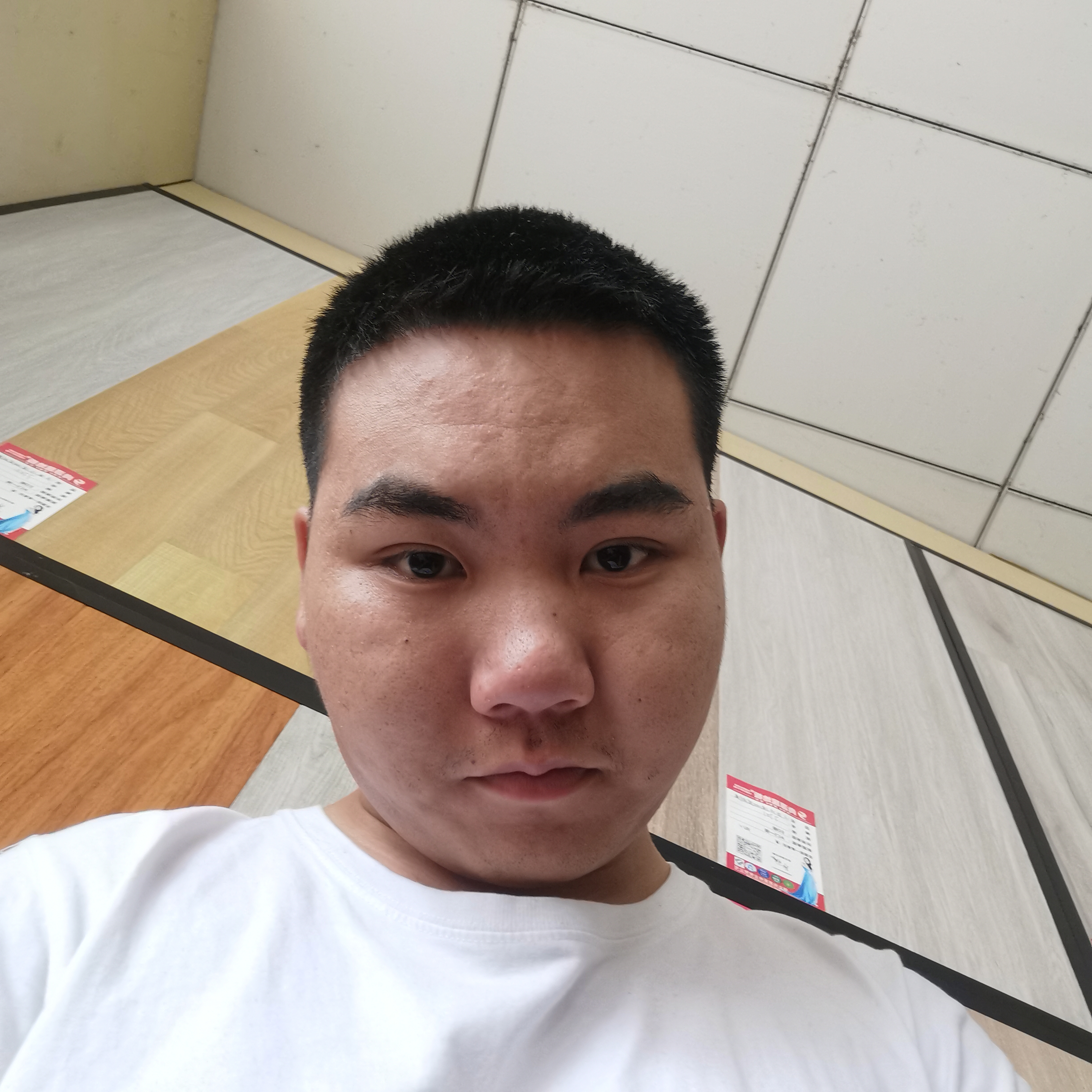 茉莉大力的照片