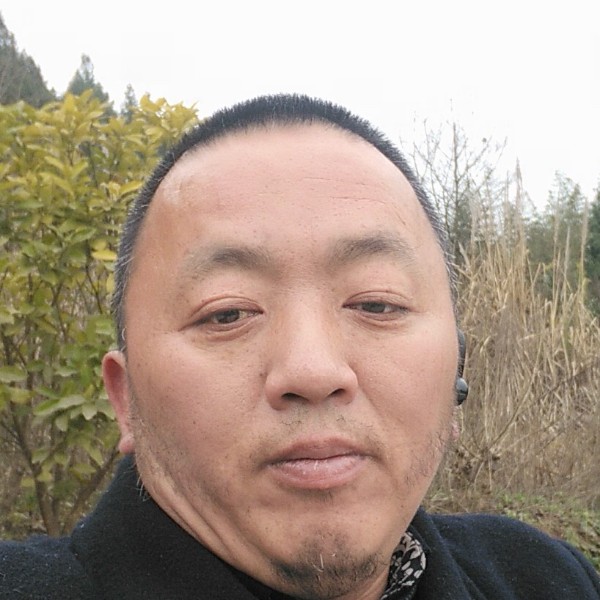 波单身的照片