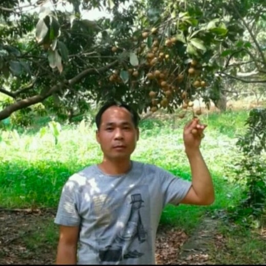 优秀等于铃铛的照片