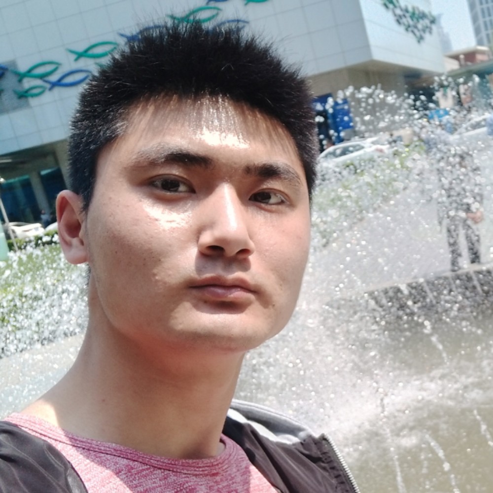 羽毛阳光的照片