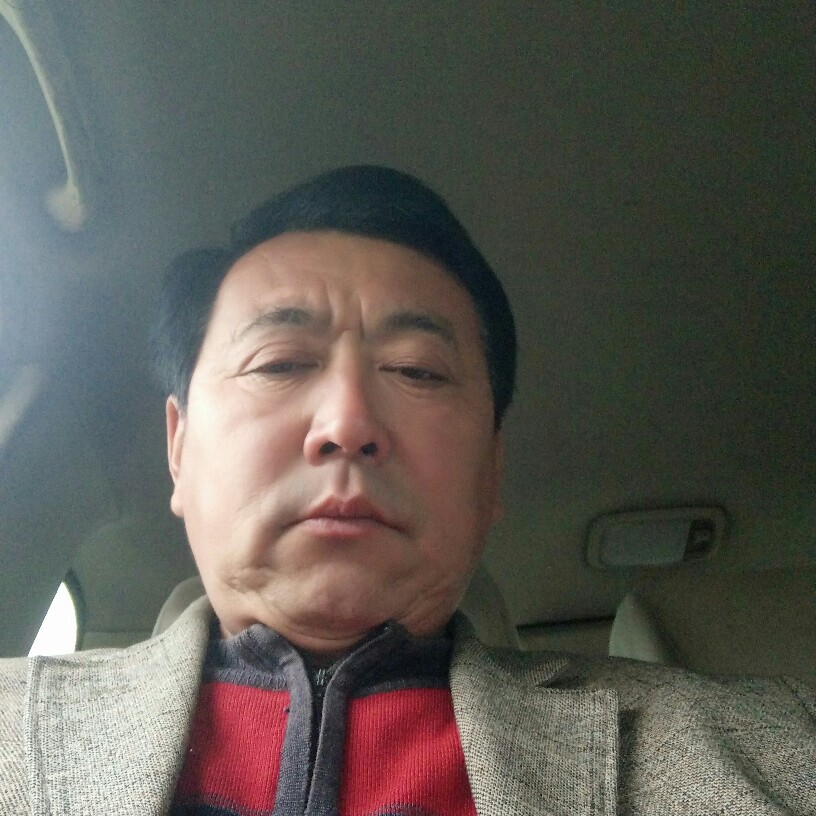 哈密瓜恬静的照片