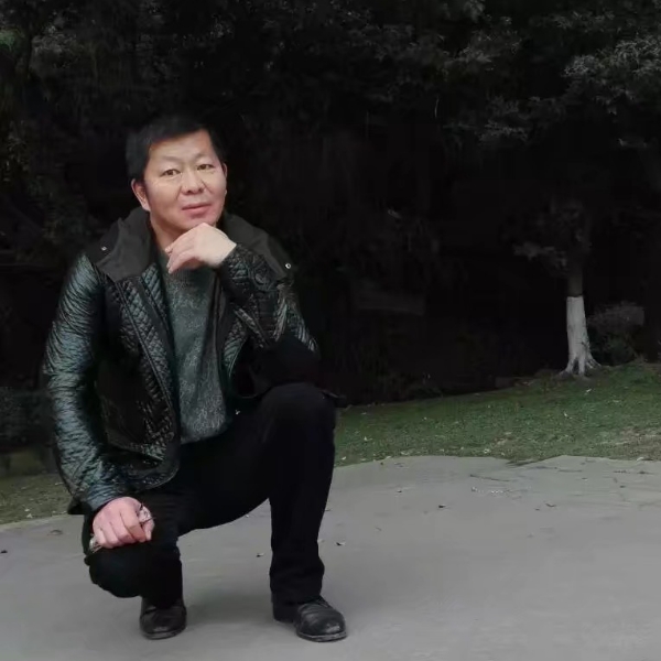 卷土重飞的照片