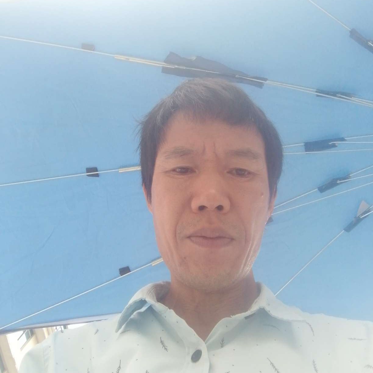 务实闻小蝴蝶的照片