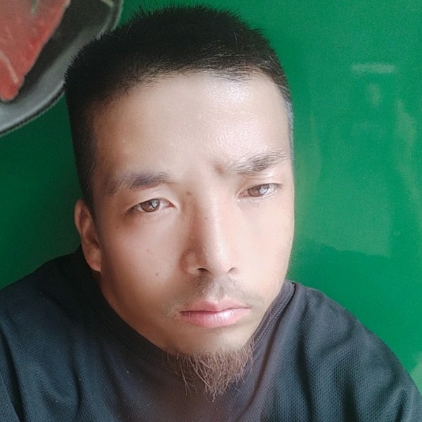 光亮笑菠萝的照片