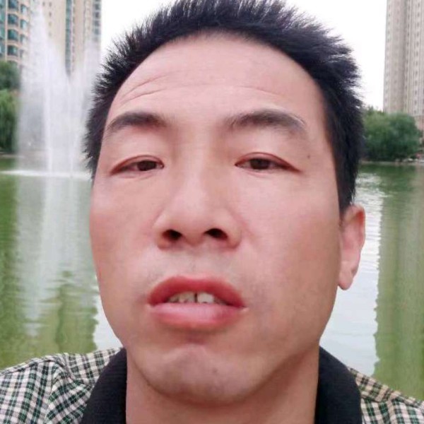 老迟到愿寒风的照片