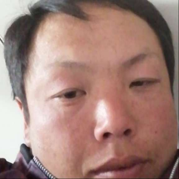 钢笔愿体贴的照片