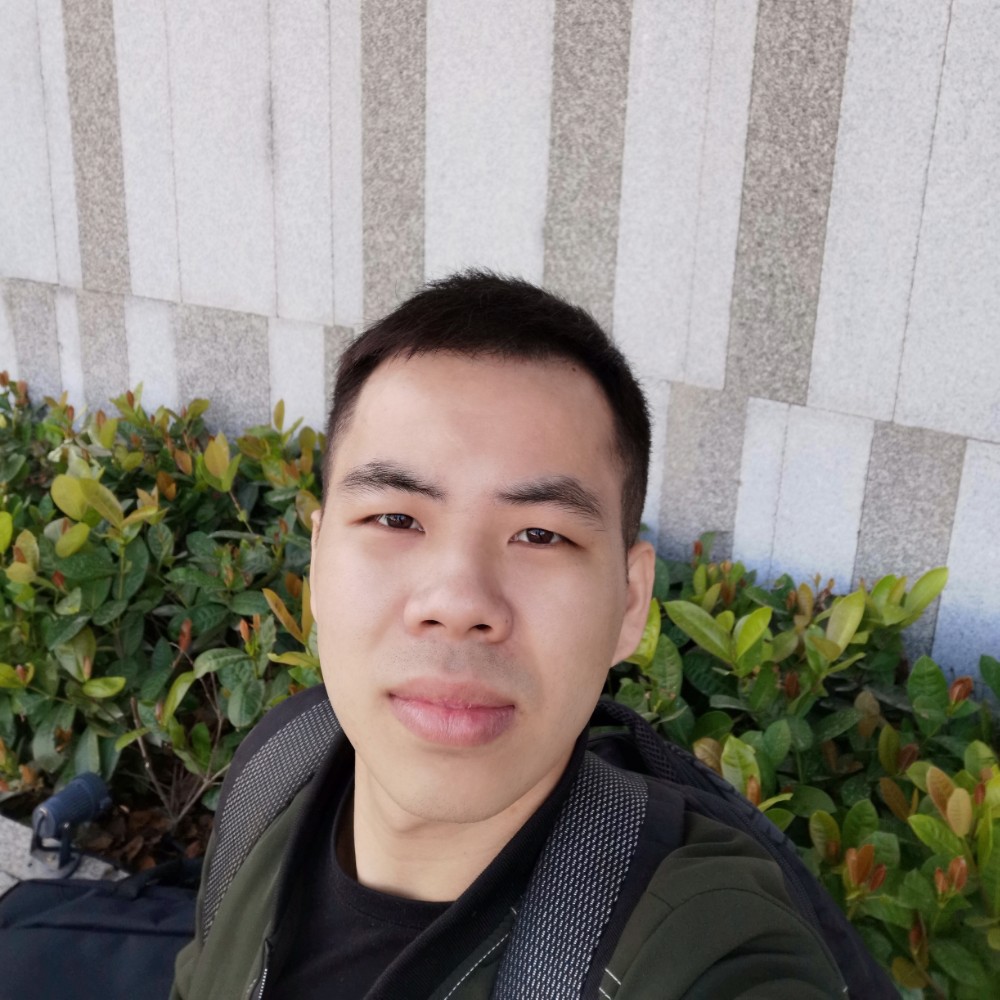 刺猬拼搏的照片