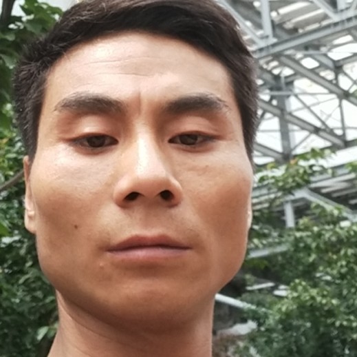 勤恳爱微凉的照片