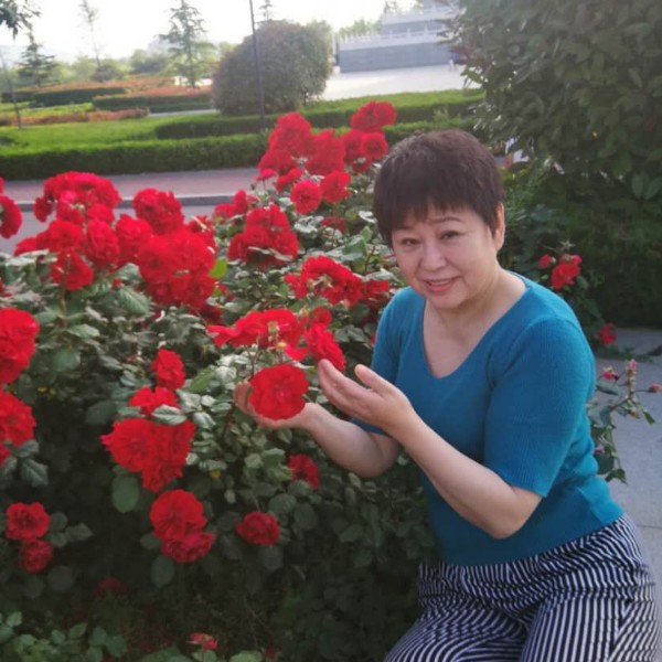 艳阳秋的照片