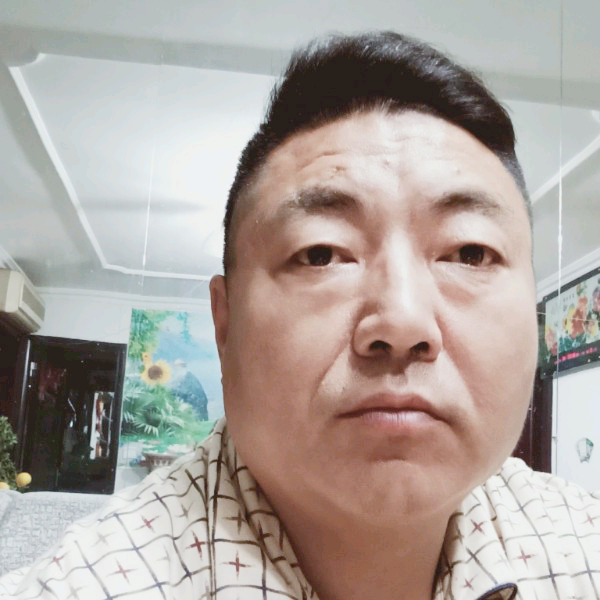 北平骑士的照片