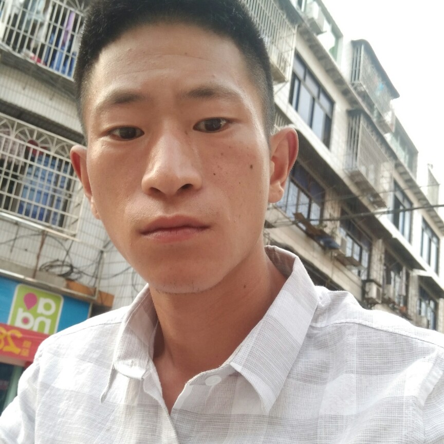 玉米，的照片