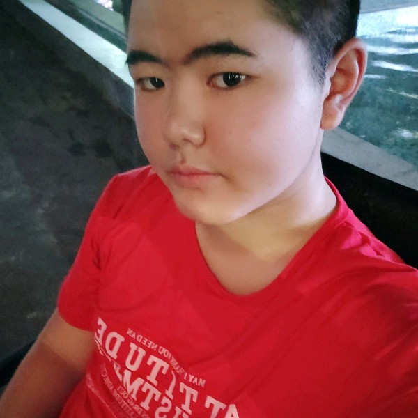 灰狼漫步醉熏的照片