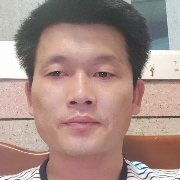 要减肥那树叶的照片